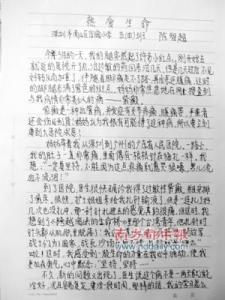 国庆节作文300字作文 国庆节优秀作文300字，国庆节的作文300字