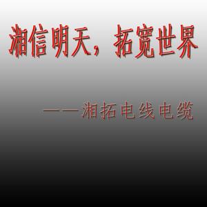 武汉电线电缆有限公司 有关电缆电线公司的广告词