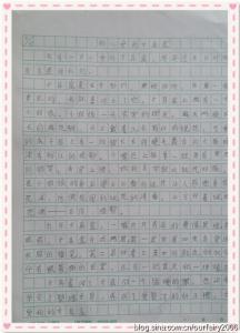 状物作文400字 写状物的文章400字，状物作文400字