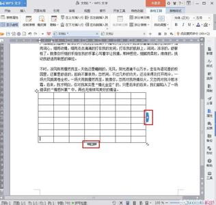 iphonewps怎么添加表格 wps表格怎样添加行