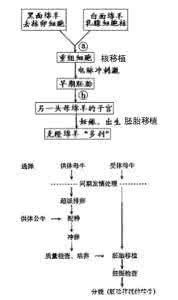 高中生物选修三预习提纲