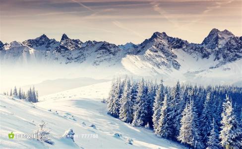 美丽的冬天作文400字 美丽的冬天雪景作文_关于美丽的冬天作文