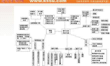 高中生物知识点2017年 2017年高考生物DNA的结构和复制知识点