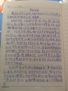 描写春节的作文600字 描写春节的作文