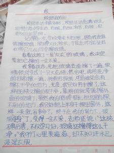 我眼中的世界作文450 我眼中的校园作文450字4篇