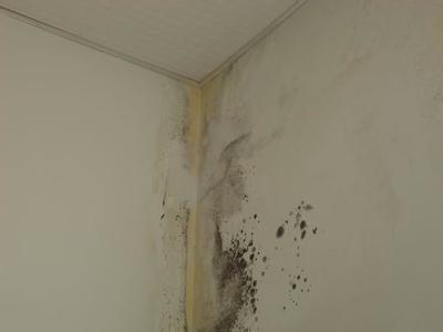 外墙漏水原因 外墙漏水原因，外墙漏水是什么原因