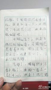 小学生优秀日记大全 小学生100字优秀日记五篇