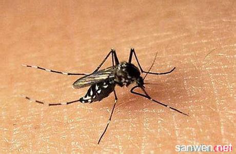 如何防治蚊子 秋季如何防治蚊子