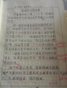 阅兵观后感300字 2015阅兵之观后感300字范文