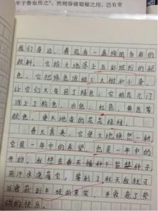 春天的作文300字 春天的作文300字_关于春天的作文300字