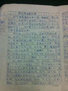 关于考试的作文800字 关于考试的作文