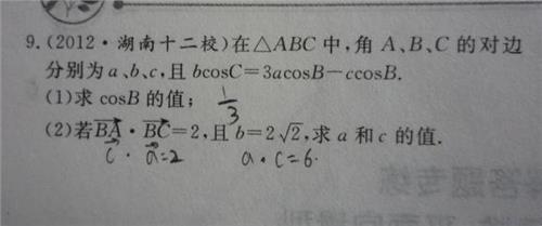 小学生期末评语简短 高三学生期末简短评语，高三学生成绩简短评语