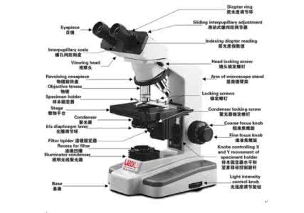 显微镜用法 显微镜的用法 显微镜怎么用
