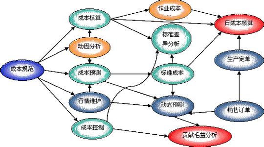 实践造就成功的议论文 管理会计信息化的应用现状和成功实践论文