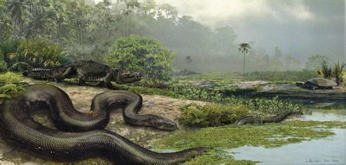世界上最大的蟒蛇 世界上最大森林蟒蛇