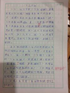 体育课作文400字 关于怎样上好体育课的作文400字