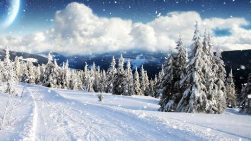 描写冬天雪景的作文 关于描写冬天雪景的作文
