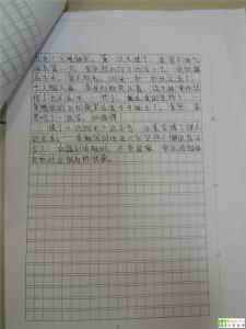 读西游记有感300字 读西游记有感300字五篇