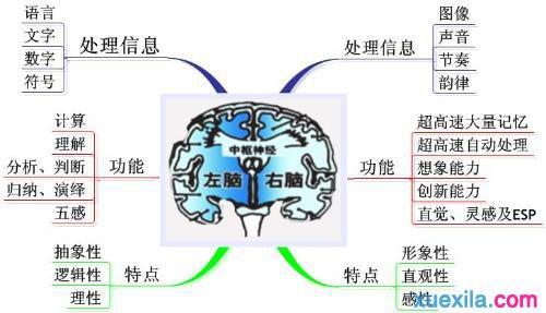 右脑记忆训练 右脑记忆简单训练方法