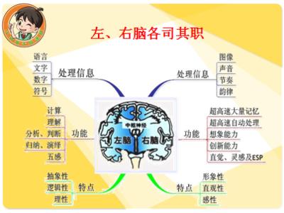 开发右脑潜能的秘诀 右脑潜能开发与教学研究