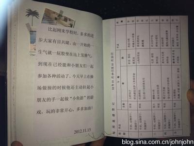 幼儿园素质报告单评语 幼儿园素质报告单老师评语 幼儿园通知书老师评语