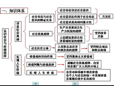 高一必修一政治复习要点