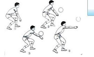 排球垫球动作要领 垫排球的技巧和要领