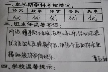 高中学期班主任评语 学期班主任评语