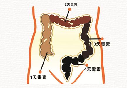 清肠道排毒的方法 肠道排毒养生的方法