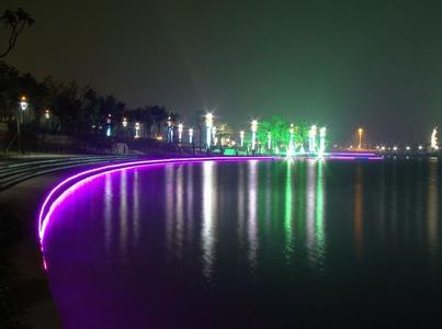 写景作文精选：枣庄东湖公园夜景