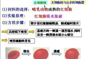 高一生物必修一重点 高一生物知识重点