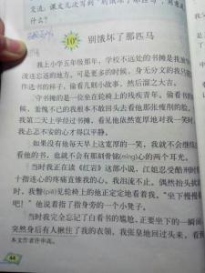 别饿坏了那匹马读后感 别饿坏了那匹马读后感400字5篇