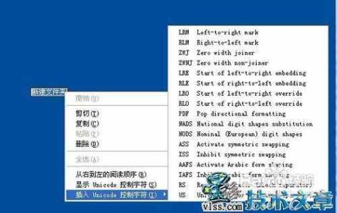 windowsxp操作系统 Windows XP操作系统中十个特殊文件