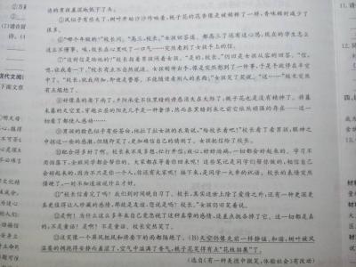 赞美同学友谊的句子 描写同学友谊的短文章_赞美同学友谊的文章