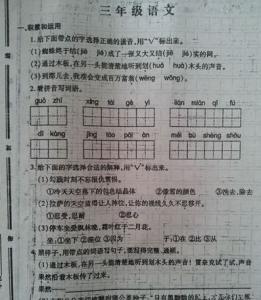 苏教版七年级上册语文 苏教版七年级语文上册期中考试卷