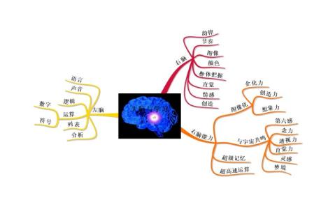 右脑开发加盟 我年龄大了，还能开发右脑吗