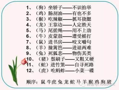 十二生肖牛的歇后语 有关于十二生肖的歇后语