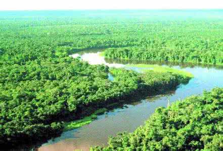 世界上面积最大的平原 世界上面积最大的平原-亚马逊平原