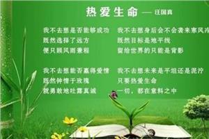 珍爱生命的文章 珍爱生命的好文章