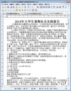 暑期社会实践报告范文 中文大学生暑期社会实践报告范文