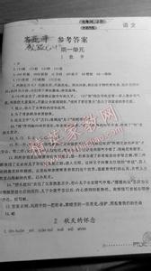 语文七年级上册练习册答案人教版