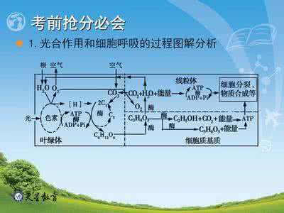 生物的呼吸和呼吸作用 高考生物呼吸作用有关实验