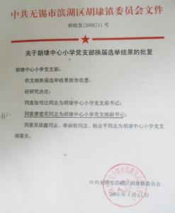 党支部换届选举请示 党支部换届选举请示范文