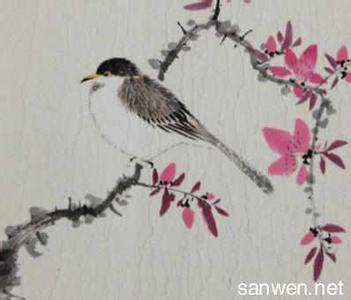 中国画花鸟画图片欣赏 儿童中国画花鸟图片