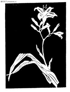 中国画图片 黑色中国画植物图片