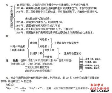 高一生物必修一第五章 高一生物必修一第五章1、2节知识点总结