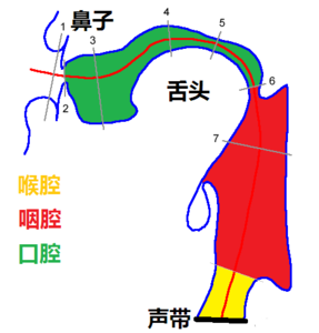 发声方法练习 练气发声方法