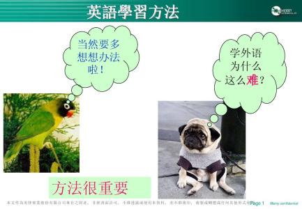 关于高中的英语学习方法