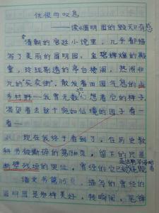 证文读后感作文300字 读后感范文300字