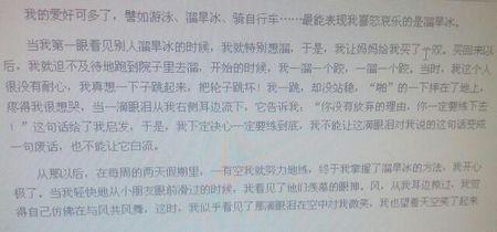 我的爱好打篮球作文 我的爱好篮球作文300字5篇